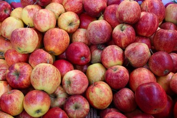 Polish apples from Grojec