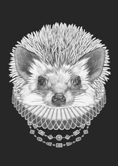 Portrat of Hedgehog with Elizabethan Collar. Hand-drawn illustration