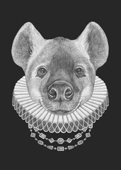 Portrat of Hyena with Elizabethan Collar. Hand-drawn illustration