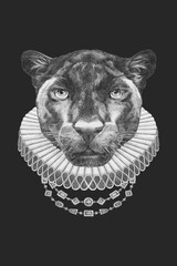Portrat of Panther with Elizabethan Collar. Hand-drawn illustration