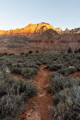 Zion national park at sunrise