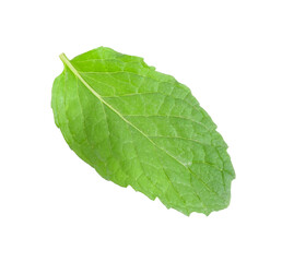 Obraz premium Peppermint transparent png