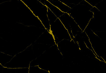 gold and white Natural pattern of dark gray marble (Gold Russia) background texture for product design.