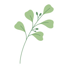Decorative green leaves. Hand drawn decorative elements. Vector illustration