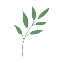 Decorative green leaves. Hand drawn decorative elements. Vector illustration