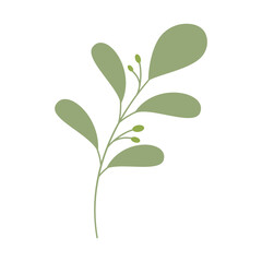 Fototapeta premium Decorative green leaves. Hand drawn decorative elements. Vector illustration