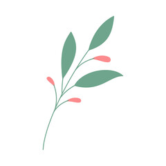 Decorative green leaves. Hand drawn decorative elements. Vector illustration