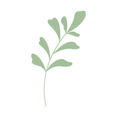 Fototapeta na wymiar Decorative green leaves. Hand drawn decorative elements. Vector illustration