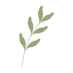 Decorative green leaves. Hand drawn decorative elements. Vector illustration