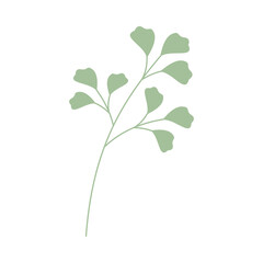 Decorative green leaves. Hand drawn decorative elements. Vector illustration