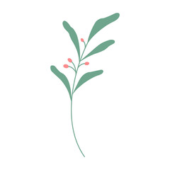 Decorative green leaves. Hand drawn decorative elements. Vector illustration