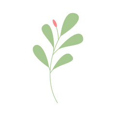 Decorative green leaves. Hand drawn decorative elements. Vector illustration