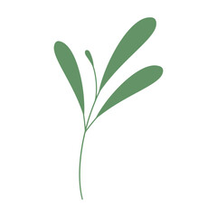 Decorative green leaves. Hand drawn decorative elements. Vector illustration