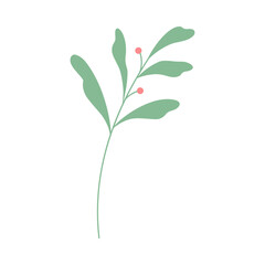 Decorative green leaves. Hand drawn decorative elements. Vector illustration