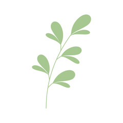 Obraz premium Decorative green leaves. Hand drawn decorative elements. Vector illustration