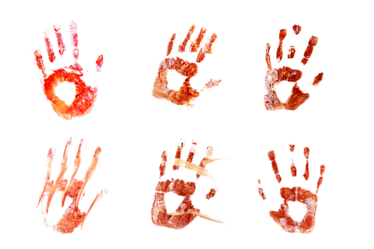 Bloody handprints isolated on transparent background. Thriller concept. Bloody hands.