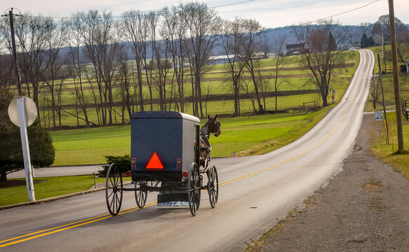 A View of an Amish Horse and Buggy Traveling Down a Hill on a Rural Road on a December Day