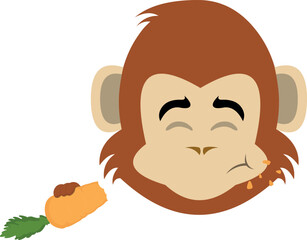 vector illustration face of a monkey cartoon eating a carrot