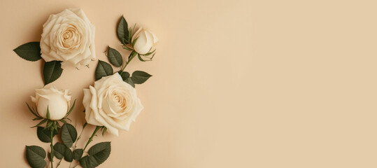 Obraz na płótnie Canvas White rose on creamy background, Generative AI