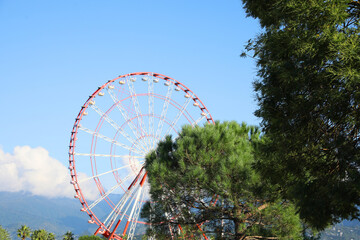 Fototapeta premium Beautiful large Ferris wheel near trees outdoors