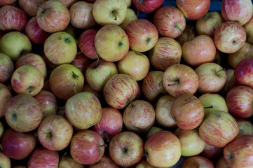 many healthy apples in a rural market