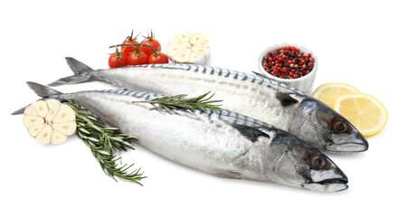 Raw mackerels, peppercorns, lemons, garlic, rosemary and tomatoes isolated on white