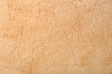 Sheet of old parchment paper as background, top view