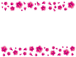 ハイビスカス帯F1-13