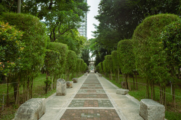 Greenery in the park inside the campus. University of Santo Tomas, Philippines