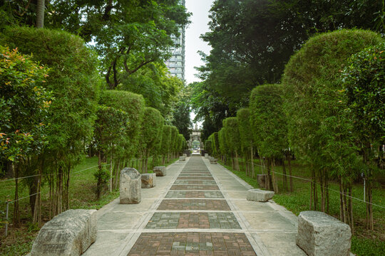 Greenery in the park inside the campus. University of Santo Tomas, Philippines