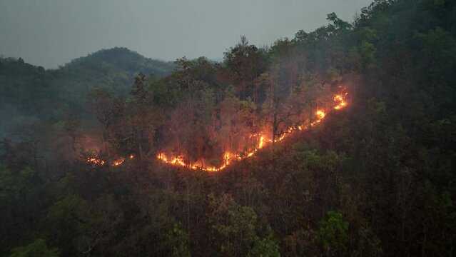 Climate change, Wildfires release carbon dioxide (CO2) emissions and other greenhouse gases (GHG) that contribute to climate change and global warming.