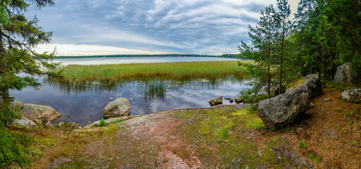 Fototapeta na wymiar Reed and stones in blue fresh lake, Park Mon Repos, Vyborg, Russia