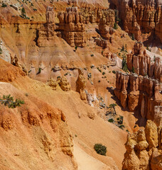 Red and orange sedimentary rocks at Bryce Canyon National Park in Bryce Canyon City, Utah