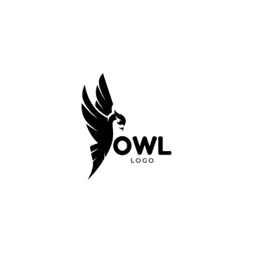 Owl Bird Flat Logo Design