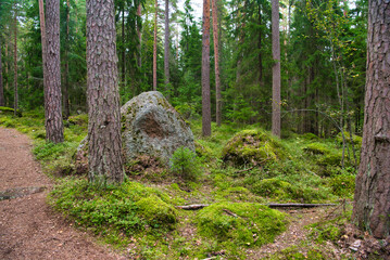 Huge boulders stones covered with moss in the pine forest, Park Mon Repos, Vyborg, Russia