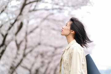 Naklejka premium 桜を眺める女性の横顔