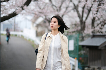 桜の咲く道を歩く女性