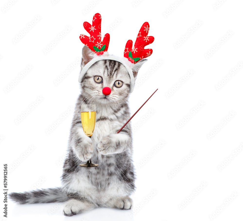 Poster funny kitten dressed like santa claus reindeer rudolf holds glass of champagne and points away on em
