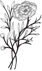 hand drawn vintage line drawing png wild flowers no background