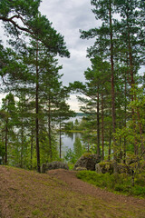 Beautiful blue lake and pine forest, Park Mon Repos, Vyborg, Russia