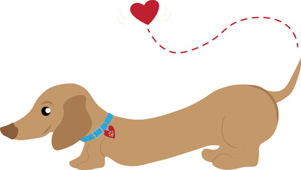 dachshund with heart