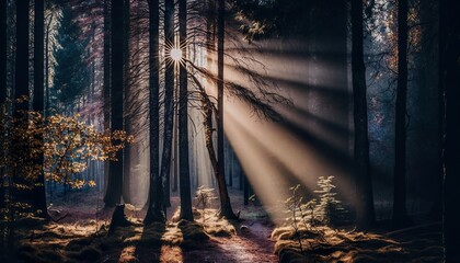 Sunbeams filtering through trees in a forest unsplash  Generative AI