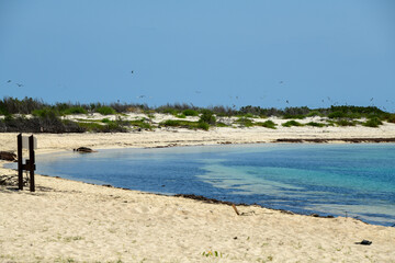 Dry Tortugas National Park