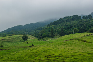 Fototapeta premium landscape with clouds