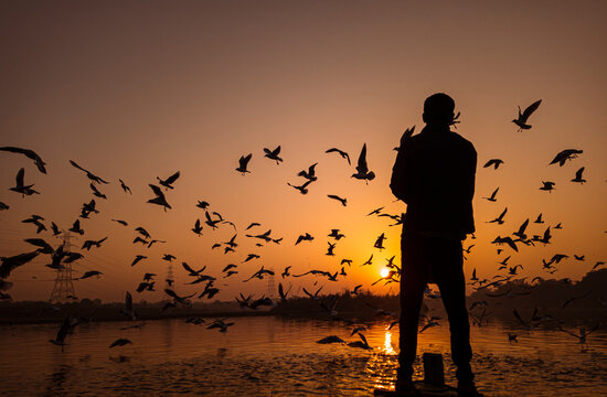 There Can Be Nothing More Pleasing To The Senses Than The Sunrise. Nature Is At Its Best At This Heavenly Hour. The Golden Rays Of The Sun Give A Bright Coloring To The Clouds And Meadows