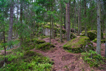 Stones in pine forest, Park Mon Repos, Vyborg, Russia
