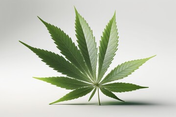 single marijuana leaf in white background realistic Generative AI 5