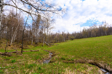 South Ural rough stream with a unique landscape, vegetation and diversity of nature.