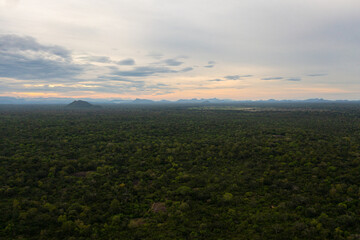 Top view of Sunset in the tropical forest in Sri Lanka.