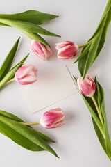 pink tulips and blank card